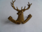 nz army cap badge 10th nelson regt